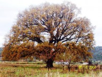 /album/resim-galerisi/a25474-110361545648514-100000240065299-184878-501146-n-1-jpg/